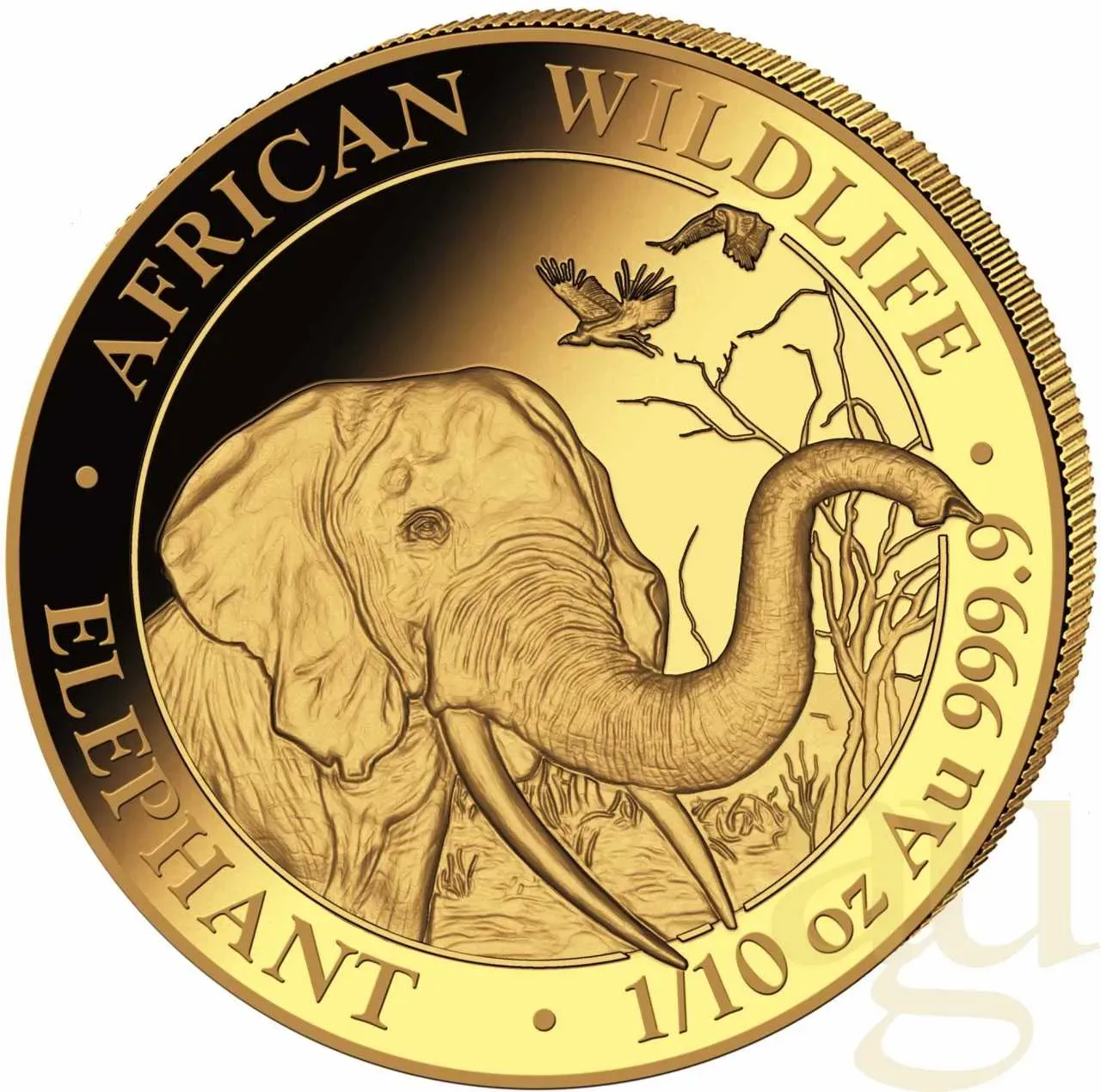 1/10 Unze Goldmünze Somalia Elefant 2018