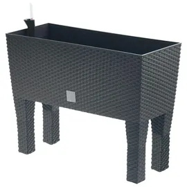 Prosperplast Rato Case High 80 x 33 x 62 cm anthrazit