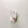 Victorinox First Snow Eau de Toilette 100 ml