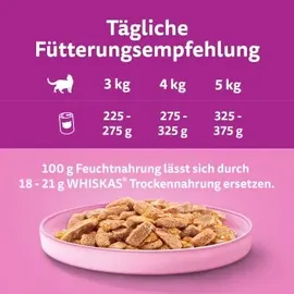 Whiskas Adult mit Lachs in Gelee 12 x 400 g