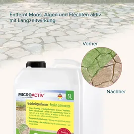microactiv® Steinreiniger Grünbelag-Entferner Konzentrat 10 l