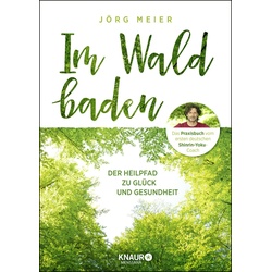 Im Wald Baden - Jörg Meier, Kartoniert (TB)