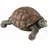 Boltze Figur Slomo Schildkröte, 25x14x34 cm, Dekoration, Skulpturen & Dekoobjekte, Dekotiere