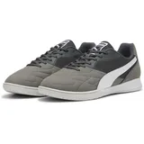 Puma King TOP IT Soccer Shoe, Shadow Gray White-Glacial Gray, 40 EU