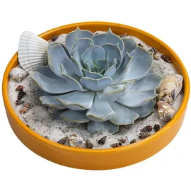 Dehner Pflanzen-Arrangement Ibiza, ca. Ø19/H8 cm, Gelb, Grün