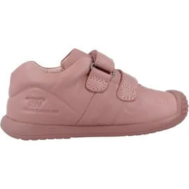 Biomecanics 241124b Rosa rosa 21