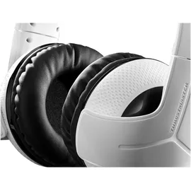 ThrustMaster TM Y-300CPX Gaming Headset