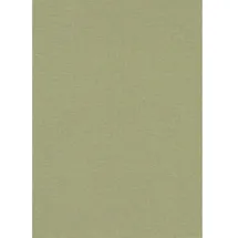Erismann Vliestapete Secret Garden 53 cm x 10 m Grün 1051007