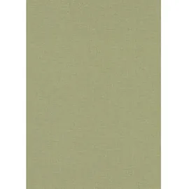 Erismann Vliestapete Secret Garden 53 cm x 10 m Grün 1051007