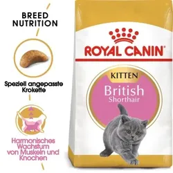 ROYAL CANIN British Shorthair Kitten 2 kg