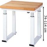 Rau Werkbank adlatus 600 elektrisch höhenverstellbar Buche-Massiv-Platte 750 mm x 700 mm