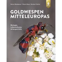 Ulmer Eugen Verlag Die Goldwespen Mitteleuropas