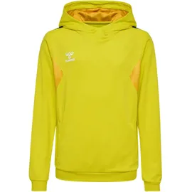 hummel hmlAUTHENTIC Poly Hoodie Kinder 5269 blazing yellow 116
