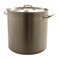 Airbrush-City Kochtopf Gastrotopf Topf XXL 50 Liter Edelstahl mit