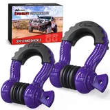 Nilight 2er-Pack 3/4"-D-Ring-Schäkel mit 7/8"-Schraubbolzen, 41, 887 lbs Bruchlast, Hochleistungs-Offroad-Bergeschäkel mit Isolierscheiben zur Verwendung mit Abschleppgurt, Seilwinde und Geländewagen
