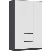 Rauch Drehtürenschrank MAINZ 136 x 210 x 54 cm Grau