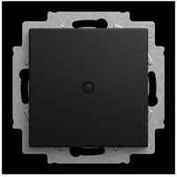 Busch-Jaeger Blindzentralscheibe 2538-915