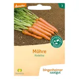 Bingenheimer Saatgut Möhre Rodelika demeter
