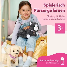 Zapf Creation Mein Hund Lucky mit Box 835869