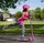 Micro Sprite Pink