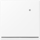 Jung LED-Orientierungslicht mit Sensor, Serie LS 1539-O WWM LNW