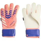 adidas Predator Match Signal Coral/White/Lucid Blue 8,5