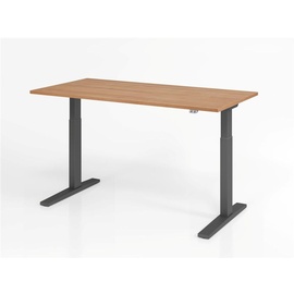 Hammerbacher XMKA16 elektrisch höhenverstellbarer Schreibtisch nussbaum rechteckig, C-Fuß-Gestell grau 160,0 x 80,0 cm