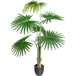 CREATIV green künstliche Pflanze Washingtonia, ca 120cm