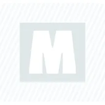 FAMAG-Werkzeugfabrik Holzspiralbohrer Lang 14 mm mit Zentrierspitze