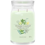 Yankee Candle CUCUMBER MINT COOLER Kerzen 567 g