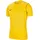 Nike Nike, Herren, Sportshirt, Park 20 Trainingsshirt (M), Gelb, M