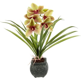 my home Kunstblume »Orchidee«, Mit Blätter im Topf aus Zement Künstliche Blume Cymbidium-Orchidee, bunt