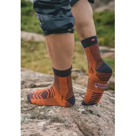Danish Endurance LIGHT WANDER CREW Socken 5-Paar Schwarz 35-38