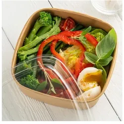 MONOUSO - Verpackung Quadratische aus Kraftkarton 750ml 17x17x5cm (300 Stück)