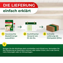 LEGO Lagererzwespen gegen Kugelkäfer & Messingkäfer 1 Röhrchen (10 m2)