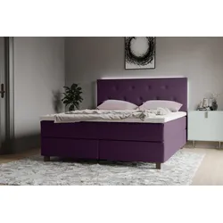 Boxspringbett INOSIGN "Alenika", lila, B:161cm L:208cm, 100% Polyester, Komplettbetten, Boxspringbett, mit LED - Beleuchtung, mit Taschen-Federkernmatratze