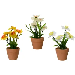 Decoris 1 Künstliche Blumen im Topf 18cm Seidenblumen Narzissen Topfpflanzen Kunstblumen Tischdeko Kunstpflanzen Hochzeitsdeko Künstlich Gelb Creme Weiß