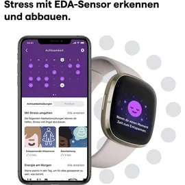 Fitbit Sense mondweiß/edelstahl softgold