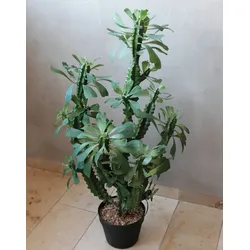 Kunstpflanze Euphorbia 88 cm Kunststoff Grün