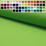 Premium Jersey Uni Stoff mit 150 cm Breite, Hochwertiger Baumwolljersey in Oeko-Tex 100, Meterware ab 25 cm Zuschnitt - ca. 60 Farben immer vorrätig (44. Lime Grün)
