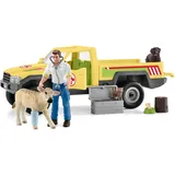 Schleich Farm World Tierarztbesuch auf dem Bauernhof 42503