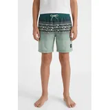 O'Neill Logo Stripe Badeshorts Grün 164