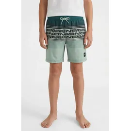 O'Neill Logo Stripe Badeshorts Grün 164