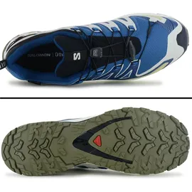 Salomon XA Pro 3D V9 GTX Herren Dark Blue/Icicle/Aloe 42 2/3