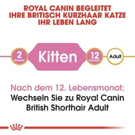 Royal Canin Kitten British Shorthair 2 x 10 kg