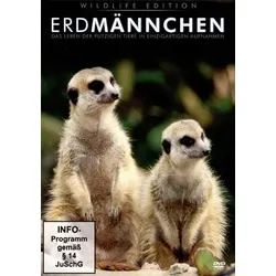 Erdmännchen