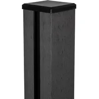 GROJA GroJaSolid Pfosten Anthrazitgrau 10x10x100 cm inkl. Kappe zum Aufdübeln