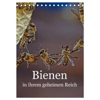 Calvendo Bienen in ihrem geheimen Reich (Tischkalender 2026 DIN
