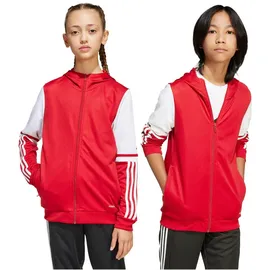 adidas Squadra 25 Team Power Red 128