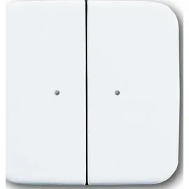 Busch-Jaeger Bedienelement 2-fach 6732-214